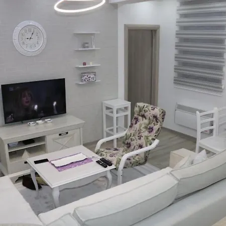 Porodica Karalic Vlasic