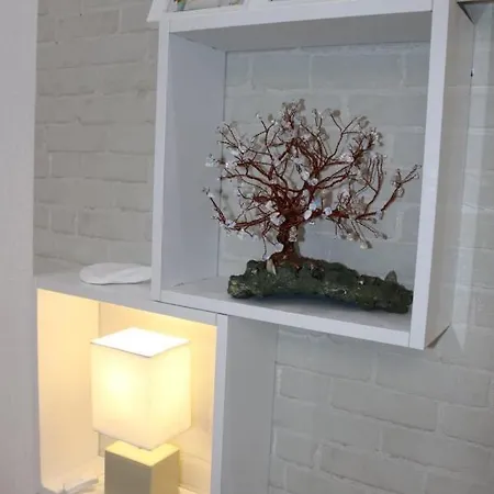 Porodica Karalic 公寓 弗拉西克