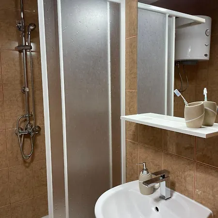 Porodica Karalic 公寓 弗拉西克