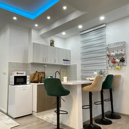 公寓 Porodica Karalic 弗拉西克