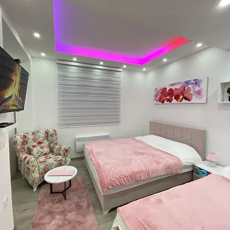 Porodica Karalic * 弗拉西克