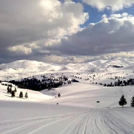 Porodica Karalic 公寓 *