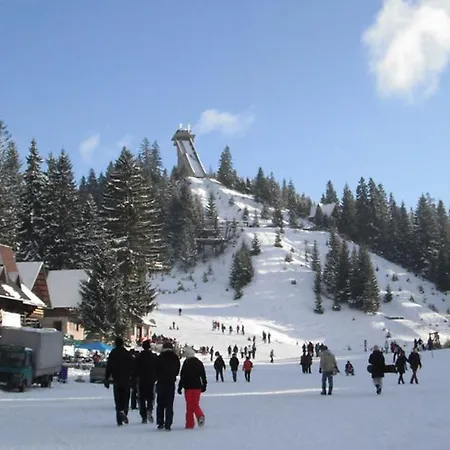 Daire Porodica Karalic *